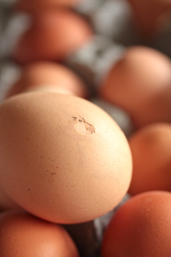 How to Clean Farm Fresh Eggs - homemadehome.com