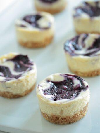 Close-up of White Chocolate Blueberry Mini Cheesecakes