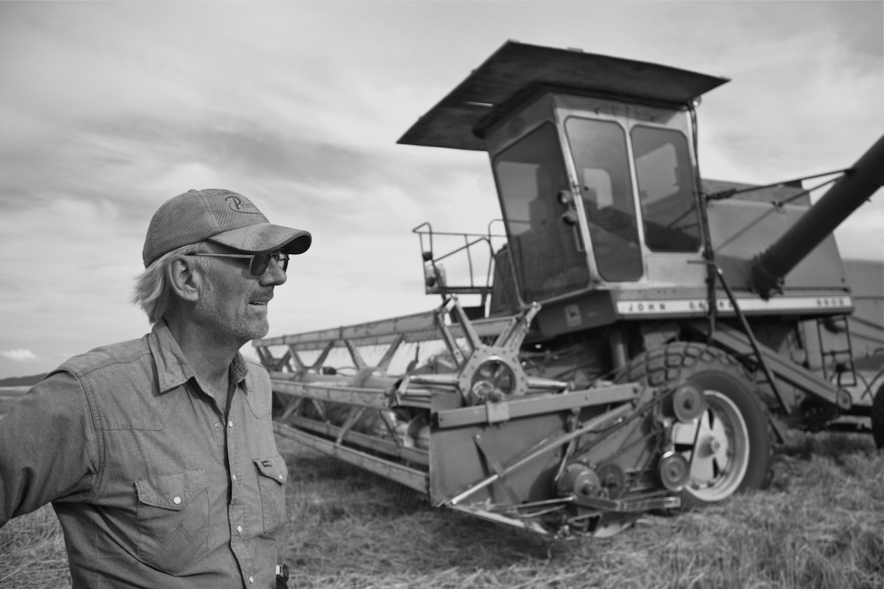 In the field - Fairfield, WA Harvest 2013