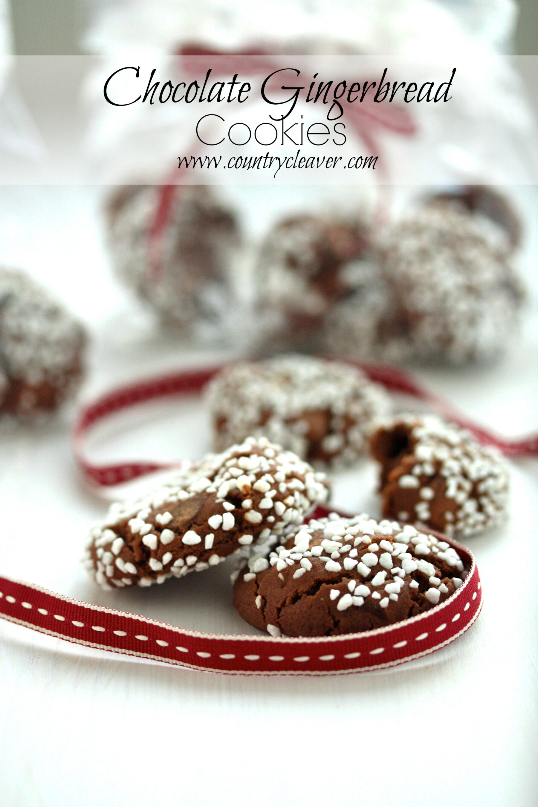 Chocolate Gingerbread Cookies