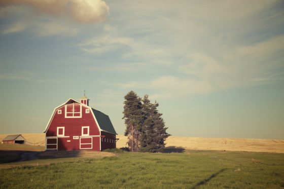 The wheatfields of the Palouse region of Washington State :: homemadehome.com