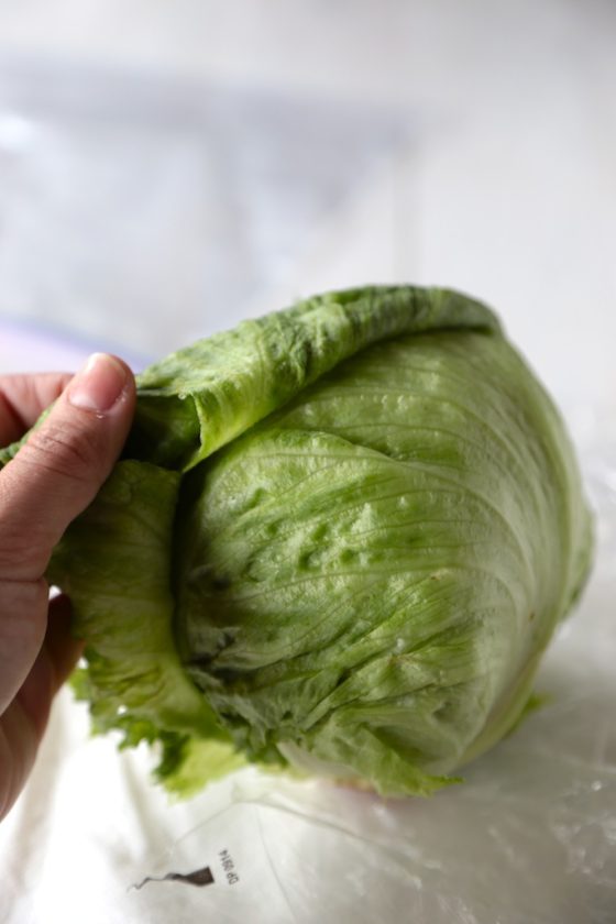 How to Keep Lettuce Fresh - homemadehome.com