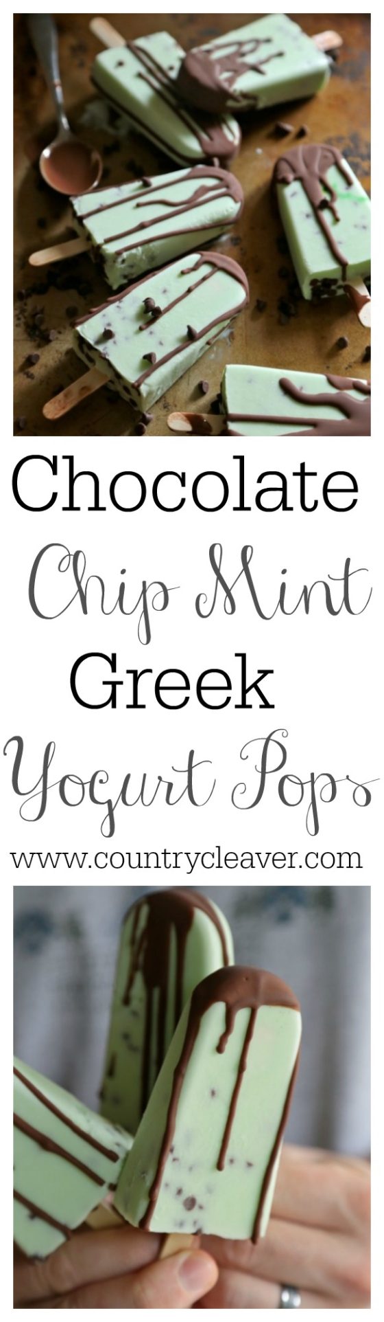 Chocolate Chip Mint Greek Yogurt Pops-- homemadehome.com
