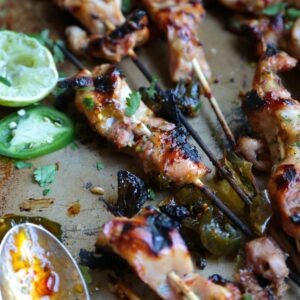 Cowboy Candy Chicken Skewers - Super Spicy and a little Sweet, perfect for the grill this summer and beyond!