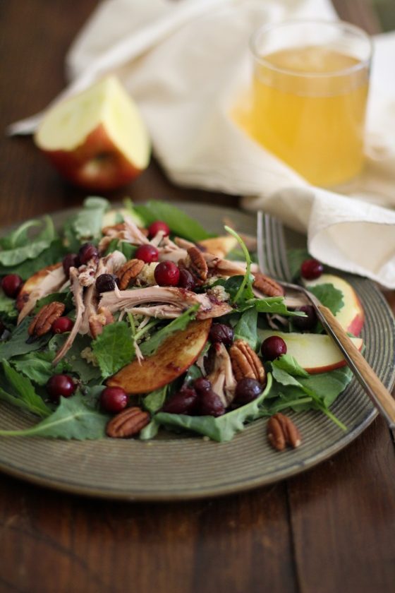 thanksgiving-leftovers-salad-25-thanksgiving-turkey-leftover-ideas-you-have-to-try