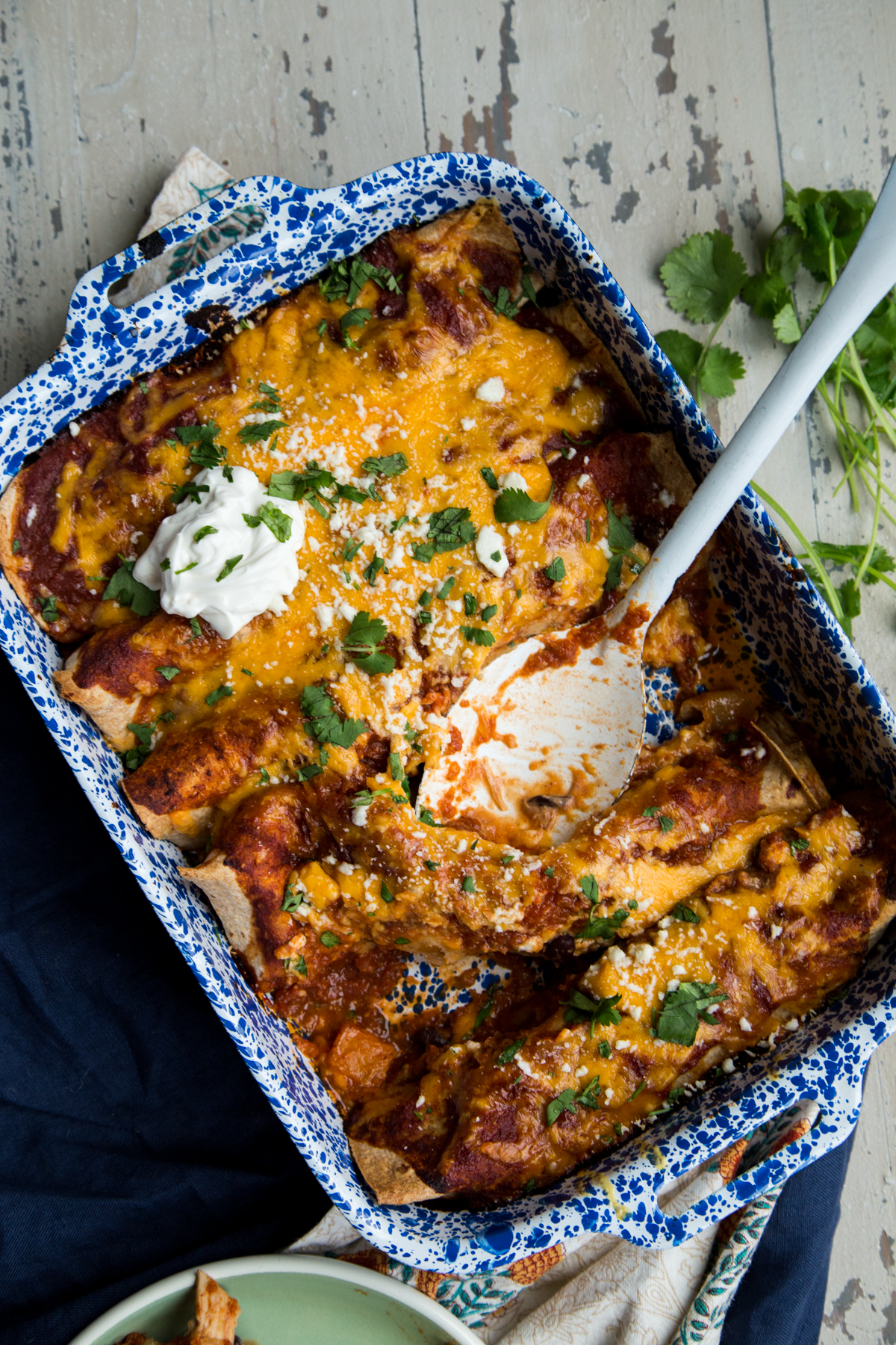 These chipotle butternut squash and black bean chicken enchiladas are going to be a hit! This recipe comes from the cookbook Alaska From Scratch.