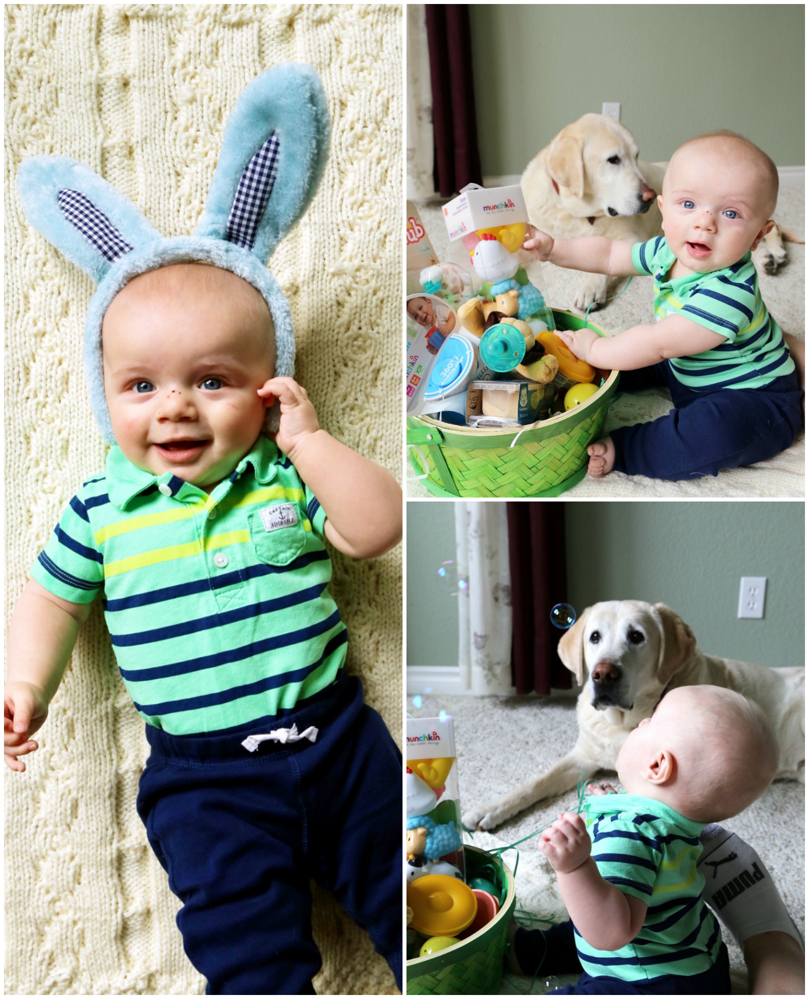 Emmett 6 Month Update Easter