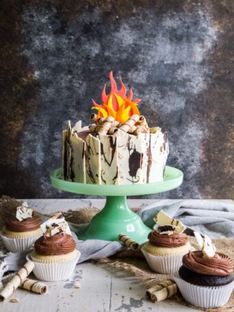 Campfire Cake - With Birch Bark and Firewood with Vanilla Cupcakes and Chocolate Frosting