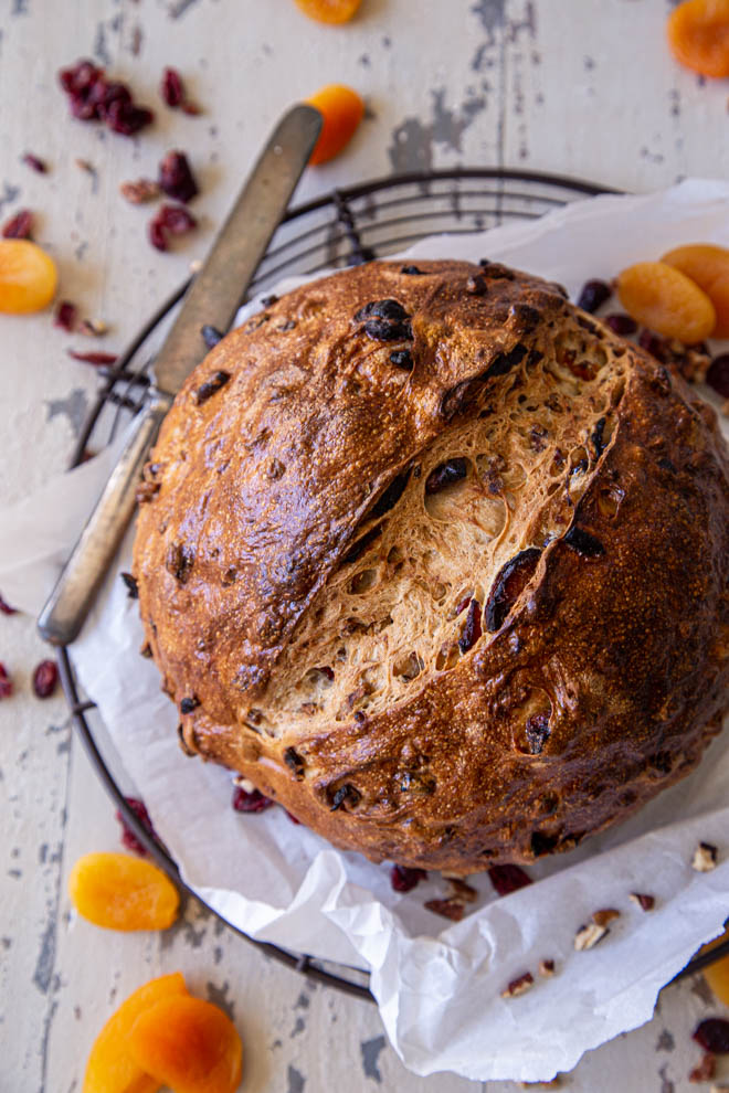 Large round loaf of apricot cranberry pecan bread, shot overhead with scattered apricots around.