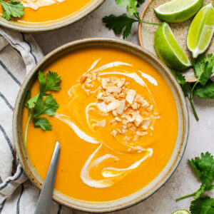 Bowl of butternut squash soup with toasted coconut on top and a swirl of cream to contrast. In an earthenware bowl.