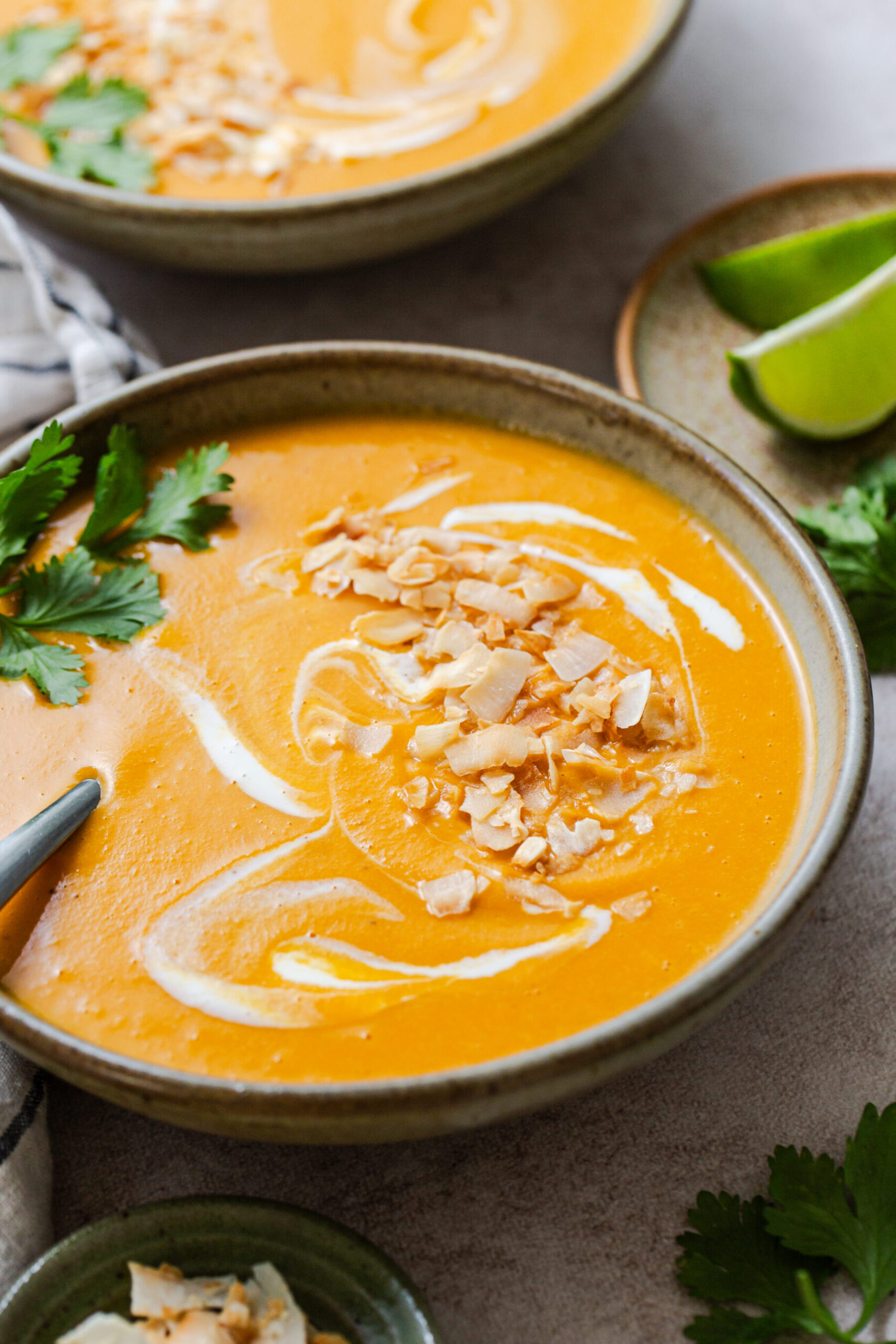 Bowl of butternut squash soup with toasted coconut on top and a swirl of cream to contrast. In an earthenware bowl.
